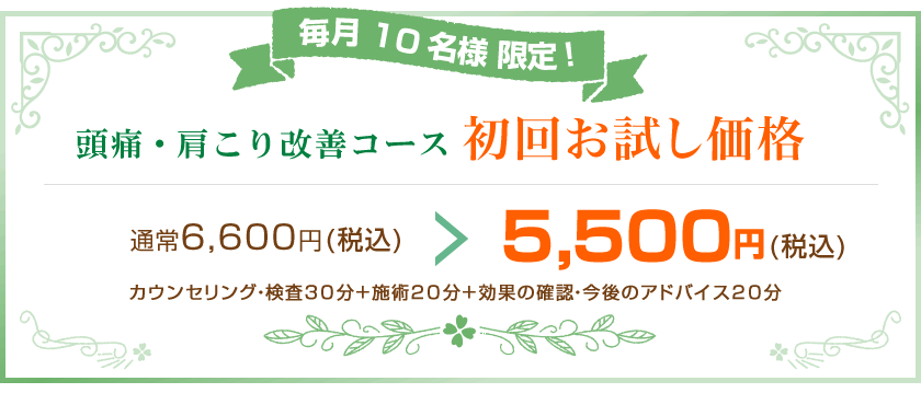 初回限定割引